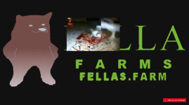 1753062637684.png