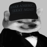 Patriot Fella